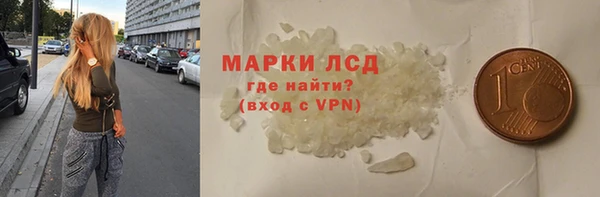 прущие грибы Медногорск