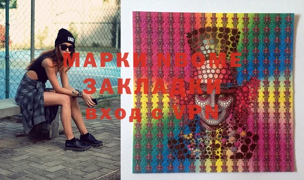 стафф Киров