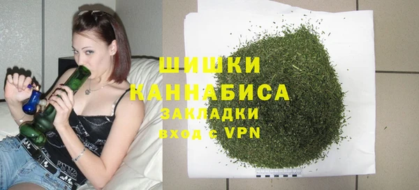 стафф Киров